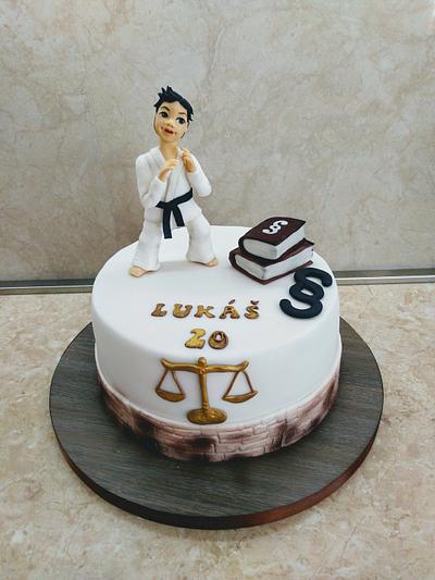 Judo,future lawyer - Cake by Marianna Jozefikova