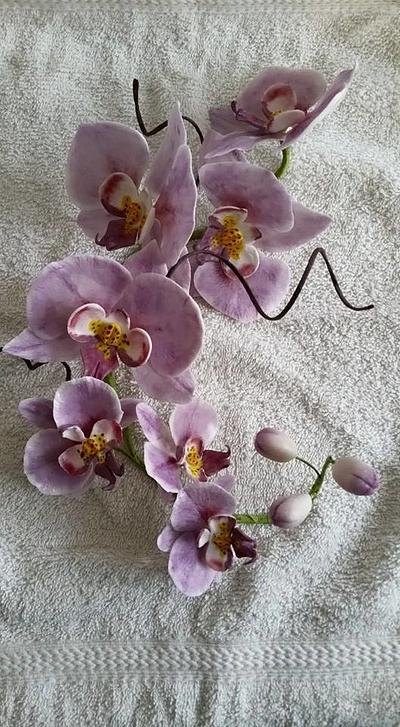 moth orchids - Cake by Jennifer-You cake