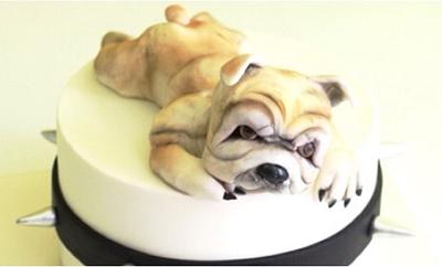 Bulldog Cake - Cake by Sihirli Pastane