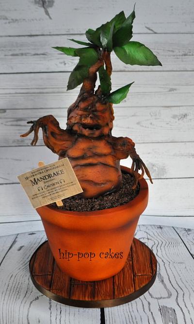 Mandrake (Harry Potter) - Cake by Lesley Marshall cake art