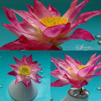 Wafer Paper Lotus - Cake by Petya Shmarova
