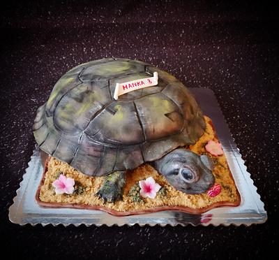 Turtle 🐢 - Cake by Manuela Jonisova