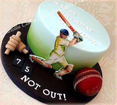 Hand Painted Cricket Theme  - Cake by Clairella Cakes 