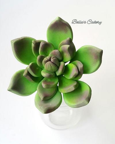 Succulent!  - Cake by Bella's Cakes 