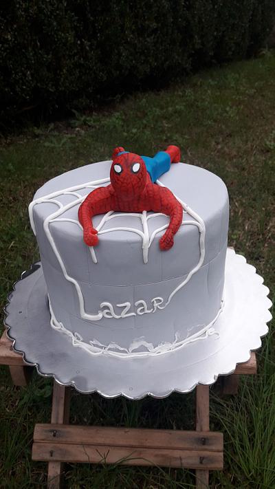 Spiderman cake - Cake by Torte Panda