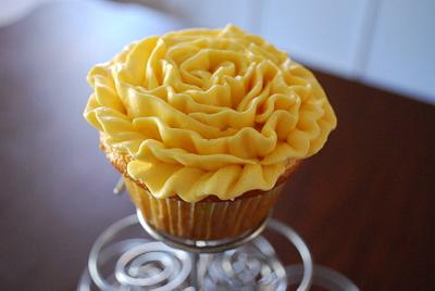 Carnation Cupcakes! - Cake by Loren Ebert