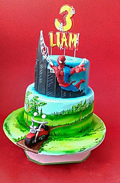 Spiderman on tour 😉 - Cake by mellowyellow