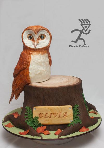Soren from Legends of the Guardians Owl Cake all edible - Cake by Ciccio 