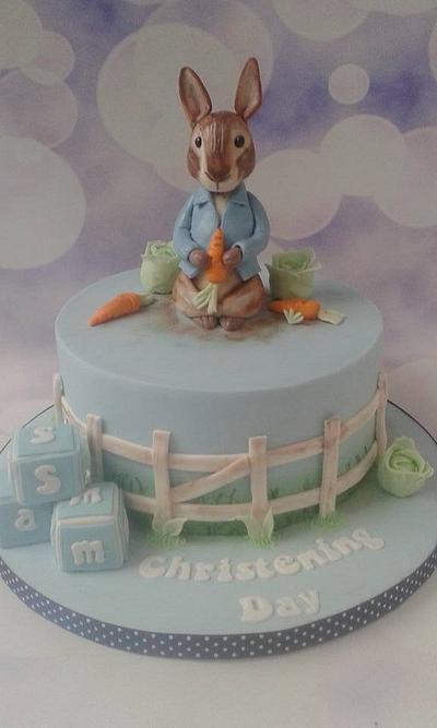 Peter Rabbit Christening cake - Cake by Jenny Dowd