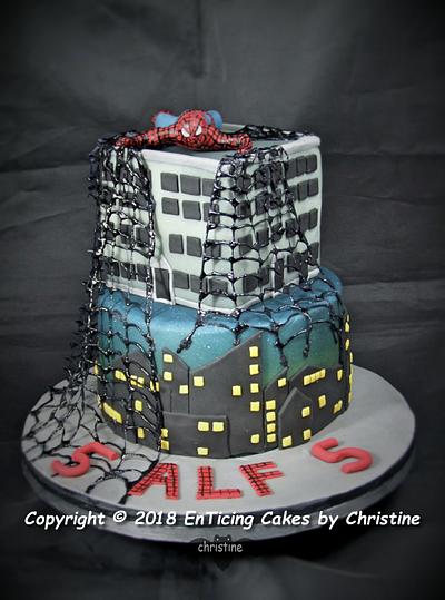 Caught in the Web - Cake by Christine Ticehurst