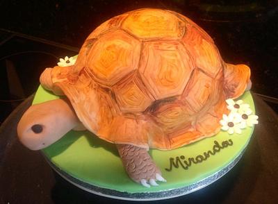 Tortoise cake  - Cake by Suzanne Owen