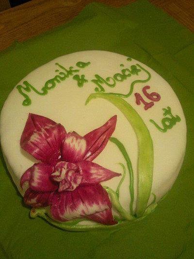 lilly - Cake by Joanna Wisniewska
