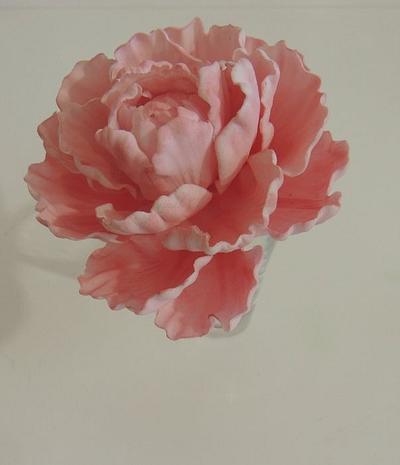 Wired peony  - Cake by Shereen