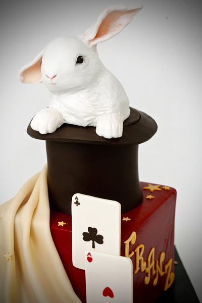 Magic rabbit - Cake by Olga Danilova