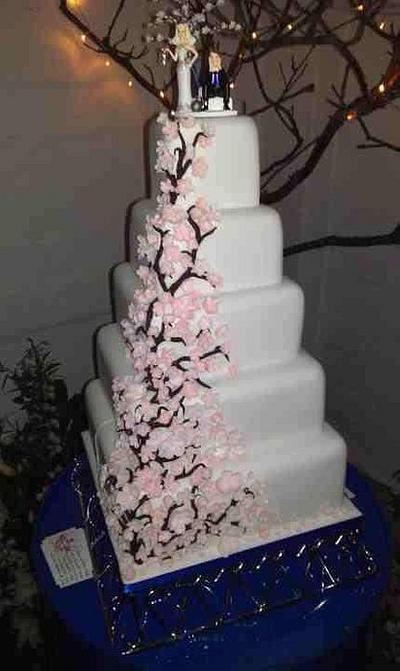 Cherry Blossom - Cake by A House of Cake