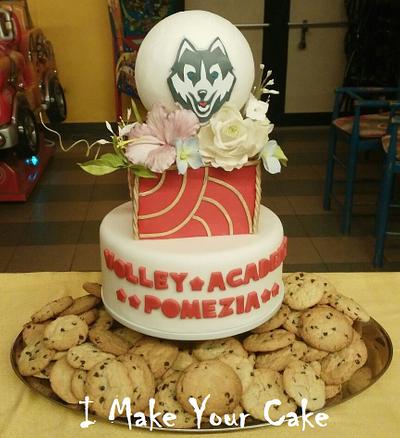 Volley Academy Pomezia - Cake by Sonia Parente