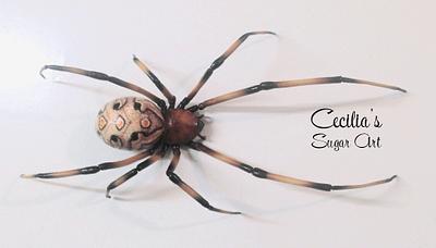 Brown widow Spider - Cake by Cecilia