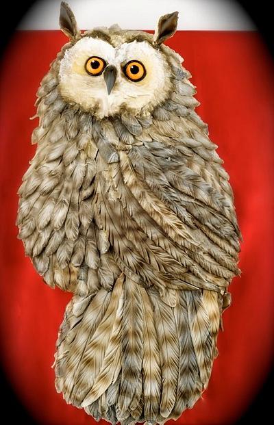 2D owl - Cake by Olga Danilova