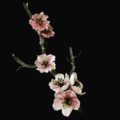 Sakura (Cherry Blossoms) - Cake by Pia Angela Dalisay Tecson