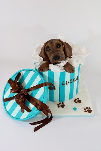 Dog in box - Cake by tomima