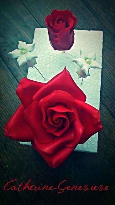 Roses - Cake by La Cabotine