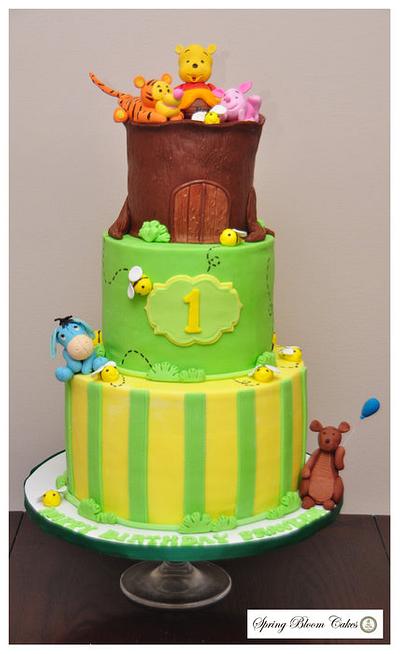 Winnie the pooh and friends - Cake by Spring Bloom Cakes