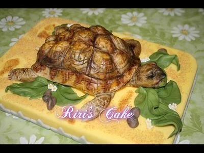 Turtle - Cake by RiriCakeOrnella