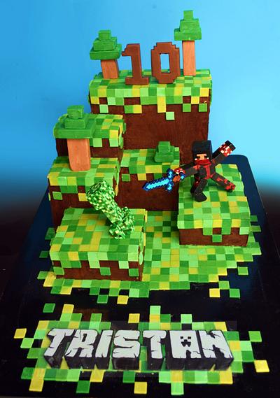 Minecraft Cake for Tristan - Cake by ErinLo