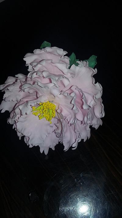 Peony - Cake by camille