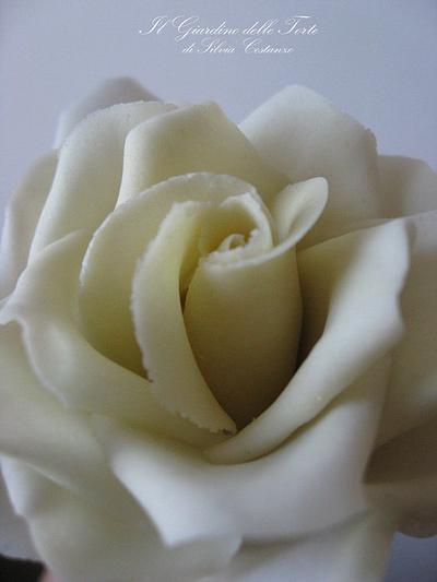 White Rose - Cake by Silvia Costanzo