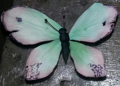 Butterfly - Cake by Weys Cakes