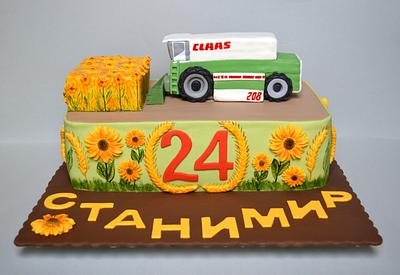 Agriculture cake - Cake by benyna