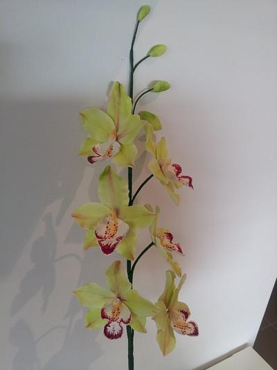 Orchid ... - Cake by Bistra Dean 