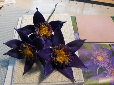 clematis flowers , w/photo ! first try - Cake by gail