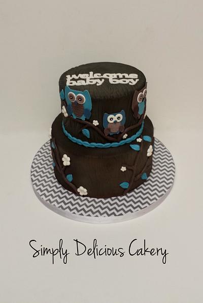 Owl Babyshower - Cake by Simply Delicious Cakery