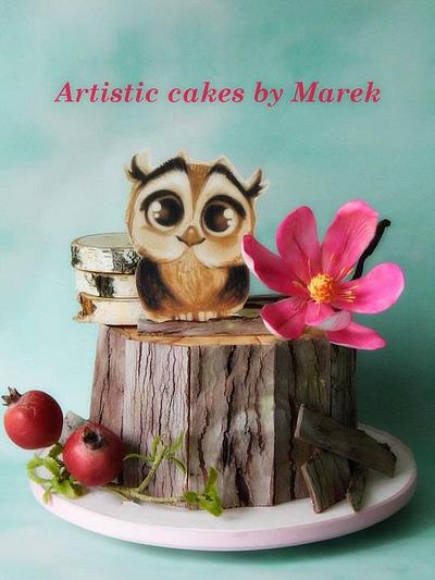 Owl's cake - Cake by Marek