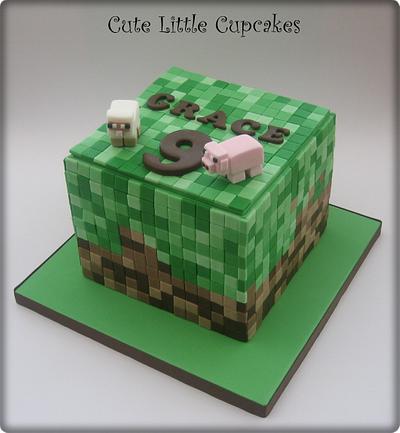 Minecraft Cake - Cake by Heidi Stone