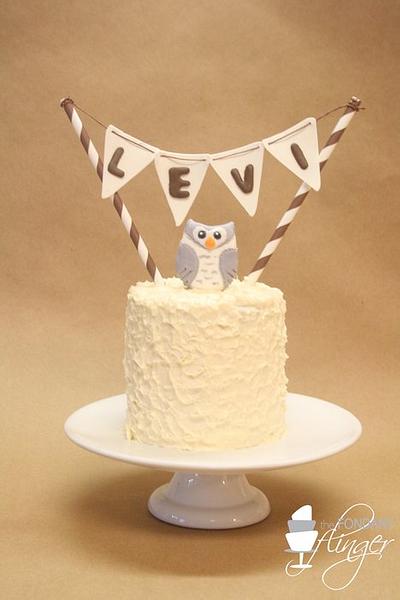 Snowy Owl Smash Cake - Cake by Rachel Skvaril
