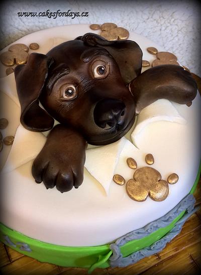 sweets puppy - Cake by trbuch