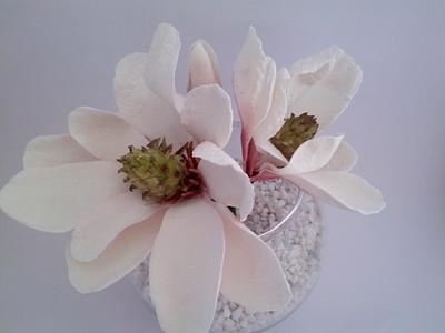 Magnolia - Cake by Federica Sampò 