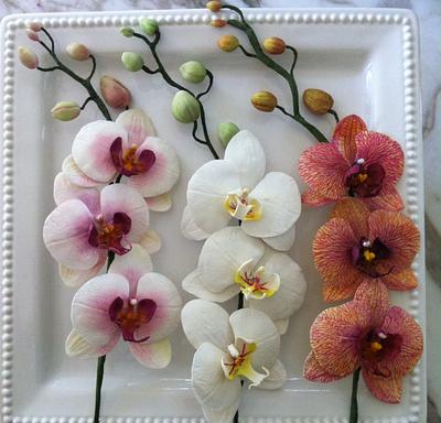 Phalaenopsis orchids - Cake by DollysSugarArt