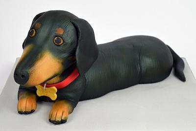 Dachshund Dog Cake - Cake by Cakes For Show