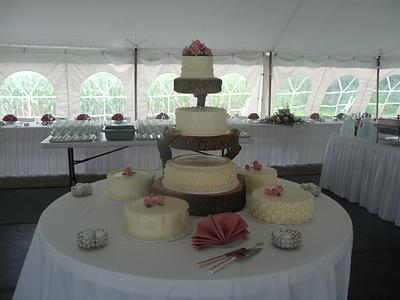 Outdoor Wedding Cake - Cake by Marcia Hardaker