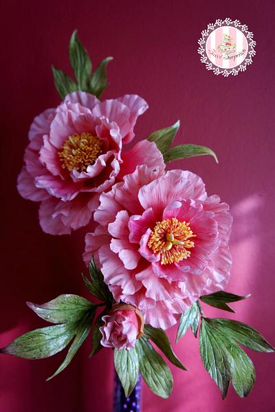 Pink Peonies - Cake by Sweet Surprizes 