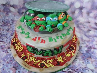 Ninja cake - Cake by Karen's Cakes And Bakes.