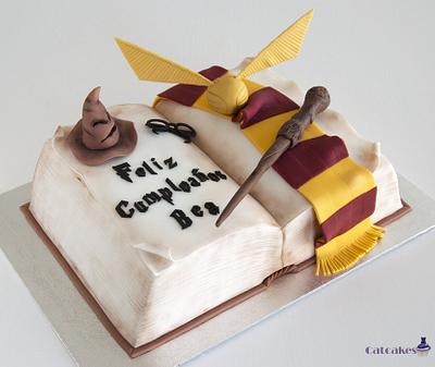 Harry Potter book cake - Cake by Catcakes
