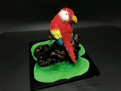 Parrot Sugarpaste Figurine - Cake by Duygu Tugcu