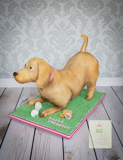 Playful dog cake - Cake by Cakes by Janice