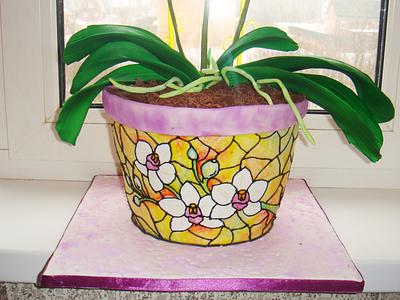 phalaenopsis - Cake by Lala