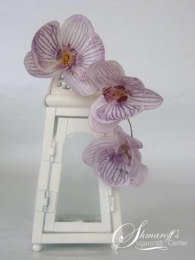 Wafer paper Moth Orchid - Cake by Petya Shmarova